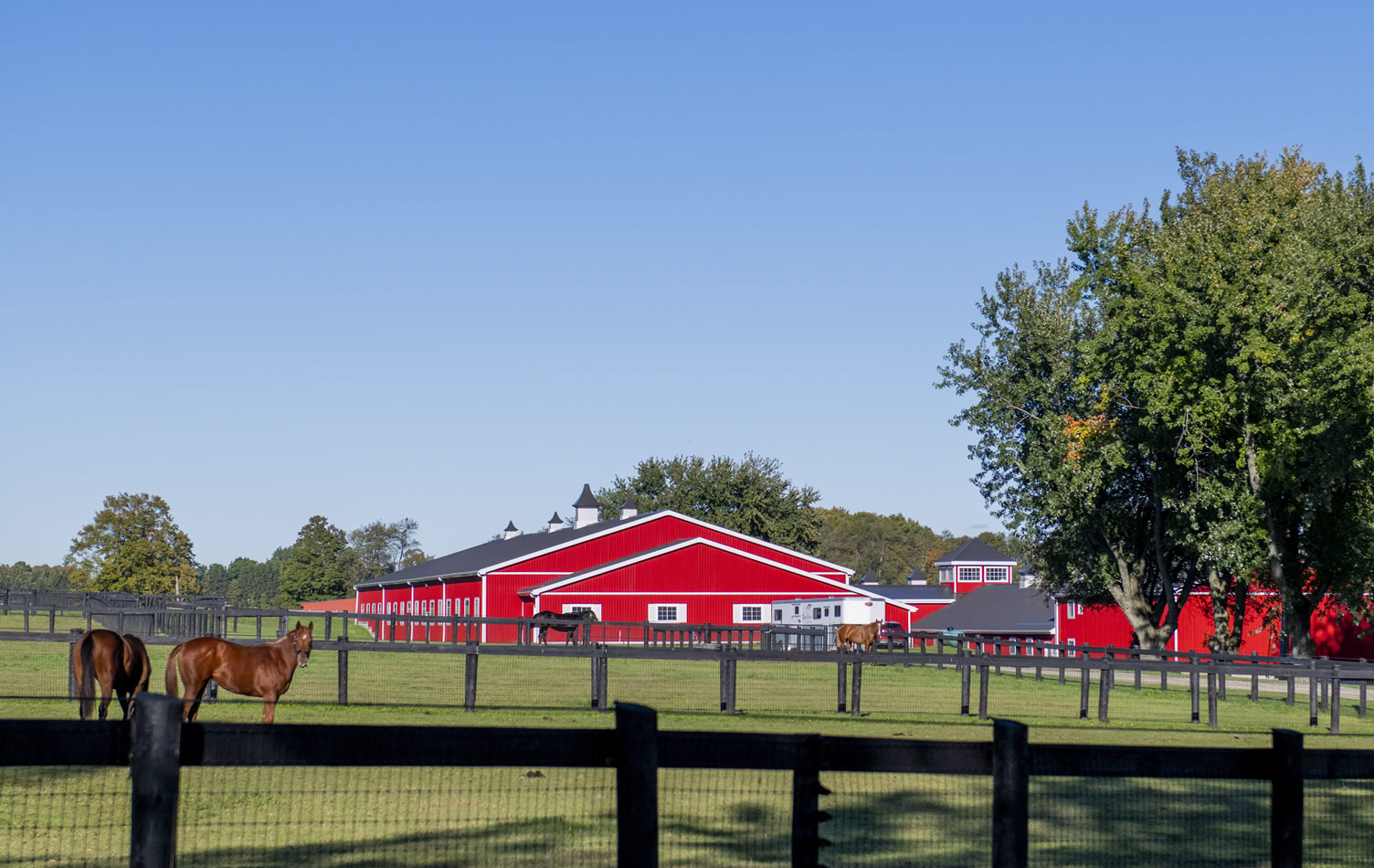 camhaven farm barn with horses caledon on